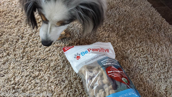 Thursday thoughts with Torrey -  BePawsitive review