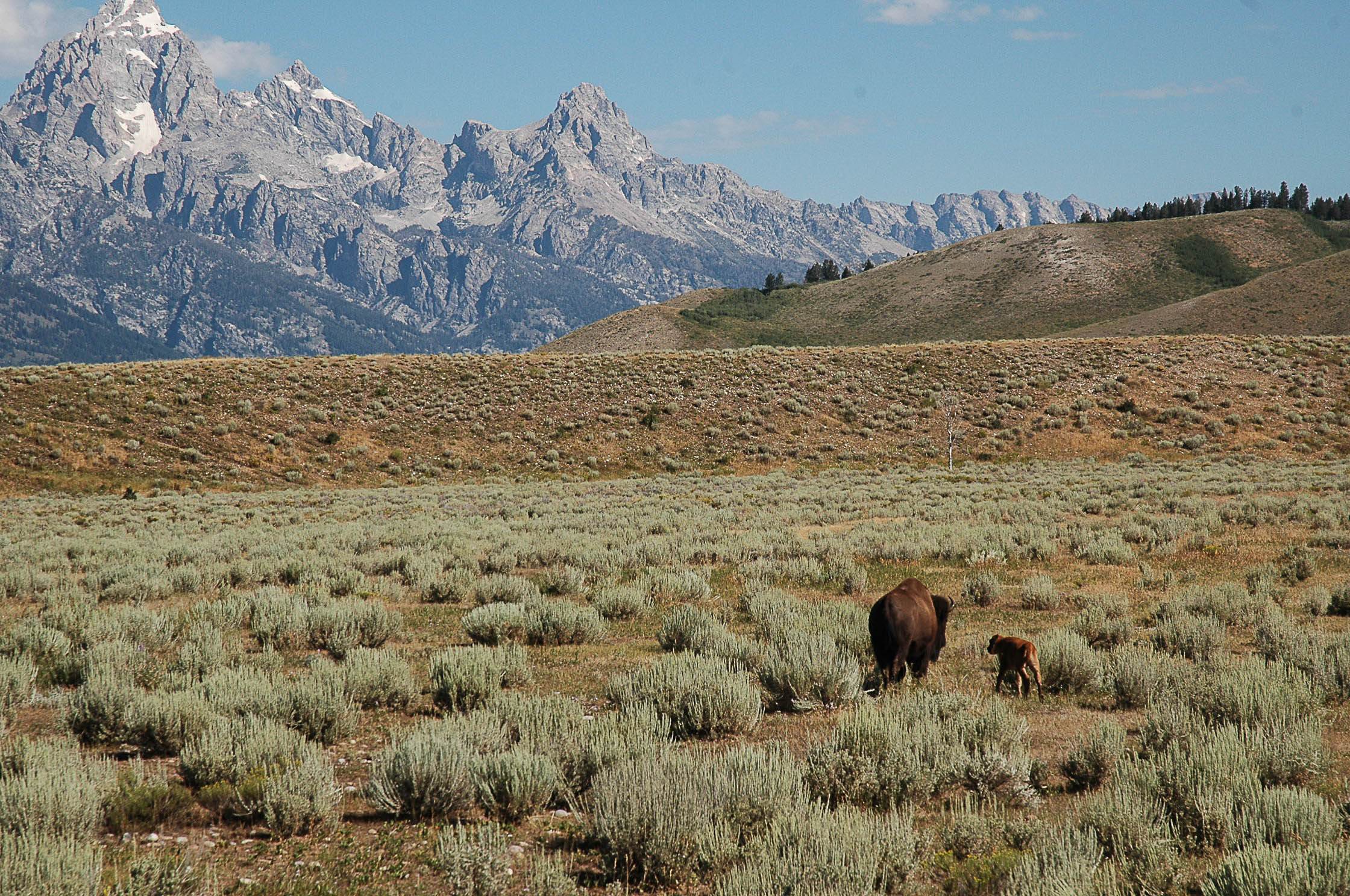 All the beautiful places. The Tetons