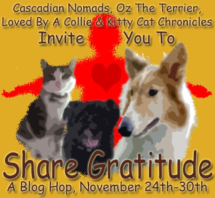 Share Gratitude blog hop