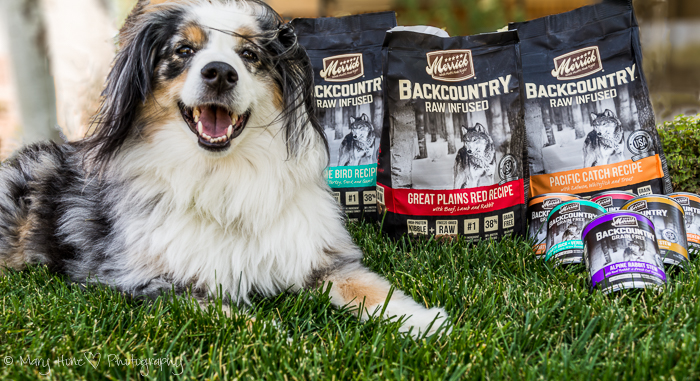 Merrick Backcountry dog food review