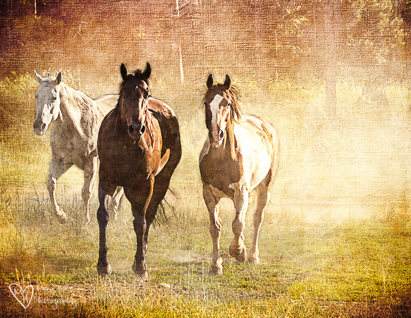 Textured horses