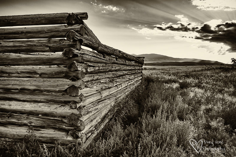 Old Montana homestead