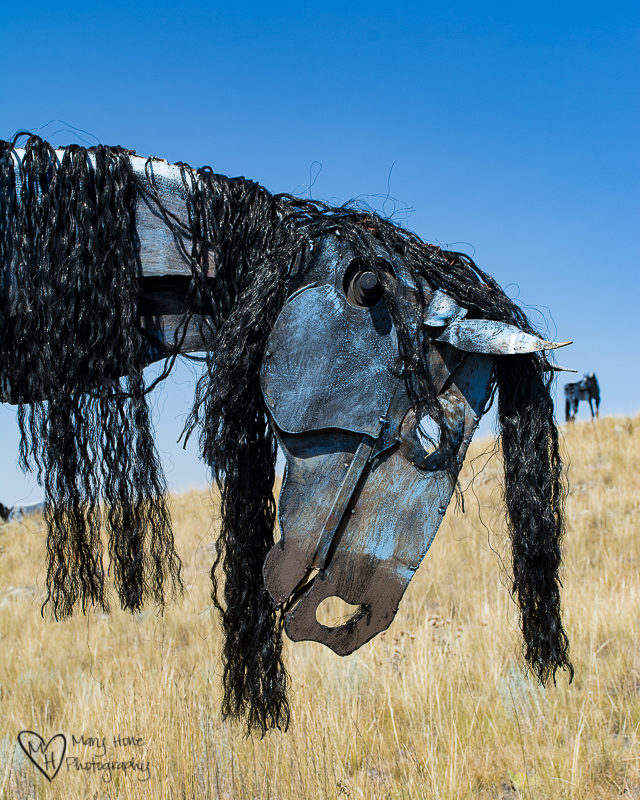 Bleu Horses of Three Forks Montana
