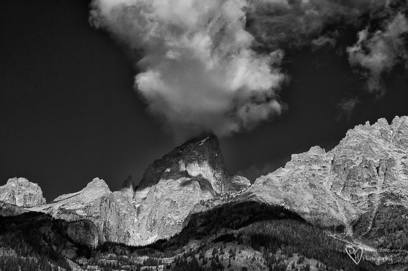 Tetons in black and white