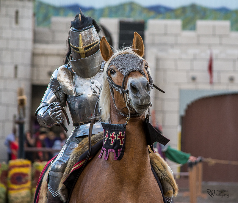 Knights in Shining Armor