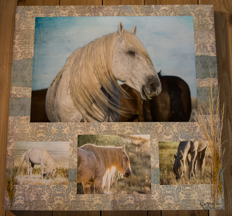 Mixed Media Photography collage of wild horses