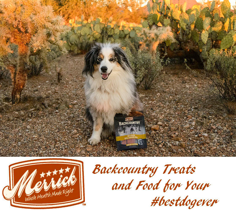 Backcountry Dogs, Deserve Merrick Backcountry Food and Treats