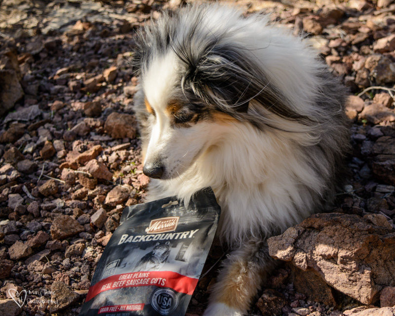 Merrick Backcountry dog treats, Backcountry Dogs, Deserve Merrick Backcountry Food and Treats