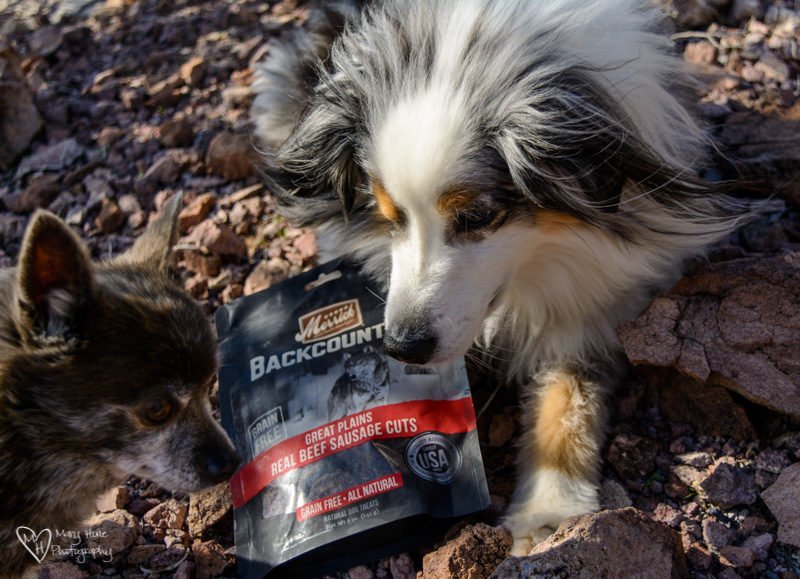 Merrick Backcountry dog treats