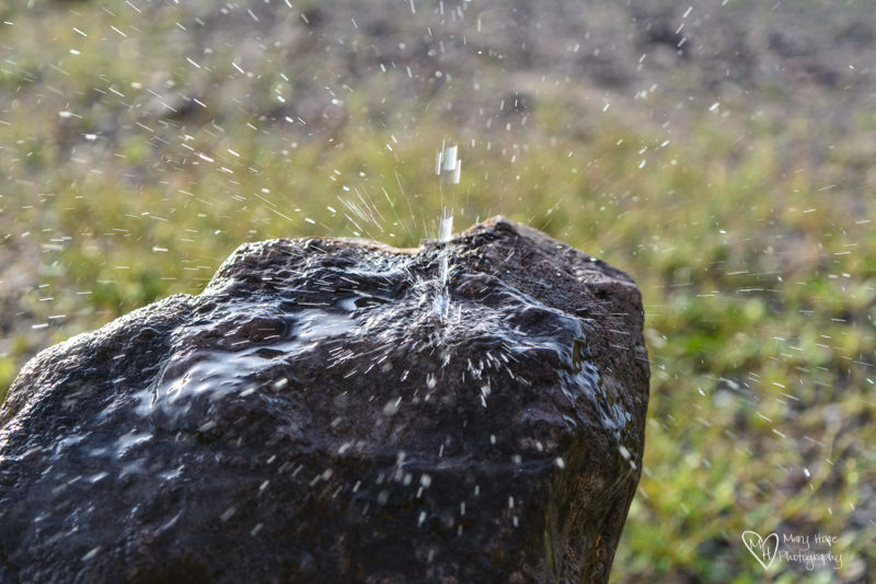 Water being poured on a rock and splashing