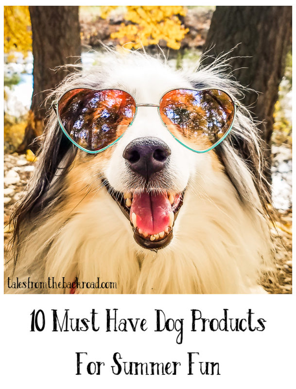10 must have dog products for summer fun