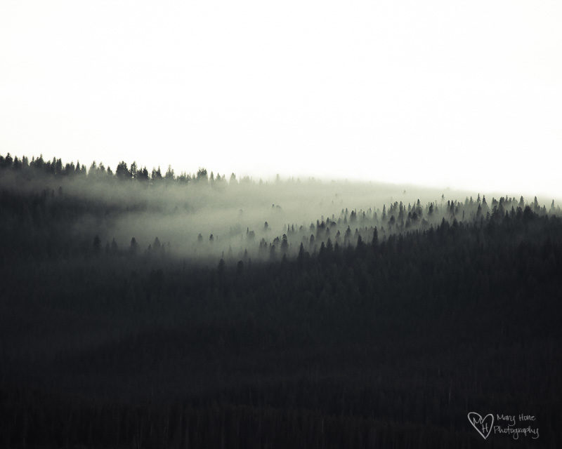 misty mountains