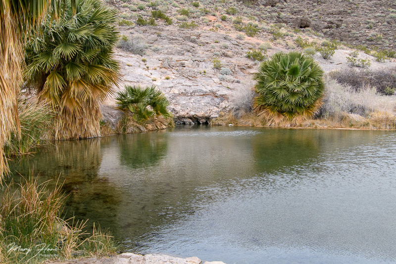 Boondocking at Lake Mead, rogers spring