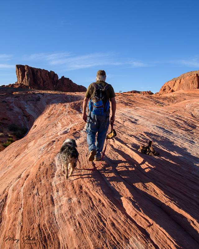 Valley of fire hiking with dogs