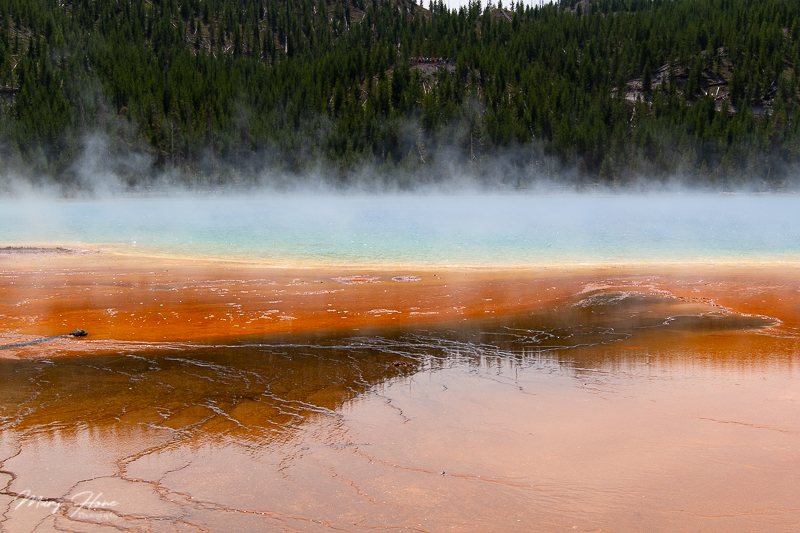 yellowstone national park grand prismatic