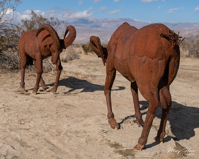 Borrego Springs Sculptures in the Desert, bighorn sheep